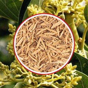 Goliath XL 10 Ingredients Muira Puama