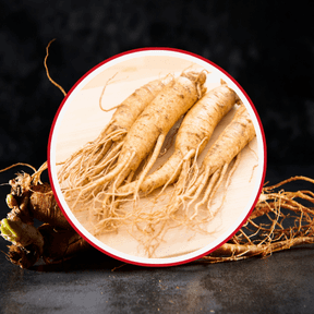 Goliath XL 10 Ingredients Asian Ginseng